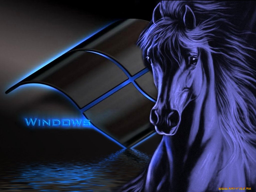 , windows, xp